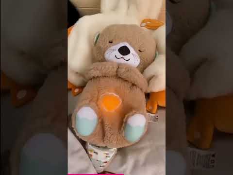Breathing Teddy Bear